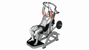 Read more about the article Lever Incline Chest Press