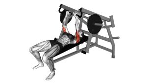 Read more about the article Lever Lying Chest Press (Plate-Loaded)