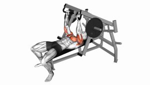 Read more about the article Lever Lying Chest Press
