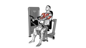 Read more about the article Lever Parallel Chest Press