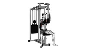 Read more about the article Lever Pec Deck Fly