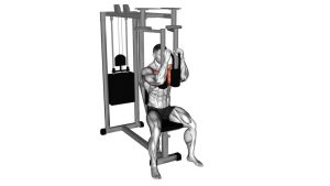 Read more about the article Lever Pec Deck Fly