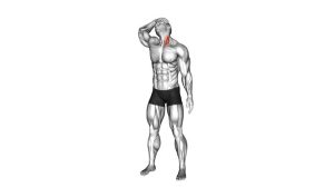 Read more about the article Neck Flexor And Rotational Stretch