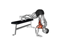 Read more about the article Pike Push-Up on Bench