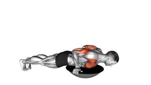 Read more about the article BOSU Ball Push Up
