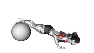 Read more about the article Push Up on Stability Ball