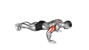 Read more about the article Push Up Plus