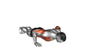 Read more about the article Rotational Push-Up