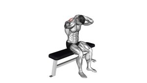 Read more about the article Seated Neck Flexion & Extension