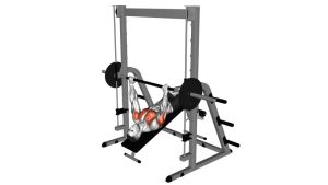 Read more about the article Smith Machine Decline Bench Press