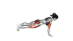 Read more about the article Spider Crawl Push-Up