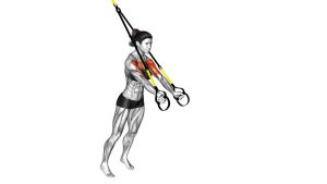 Read more about the article Suspended Chest Fly