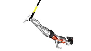 Read more about the article Suspended Incline Push Up