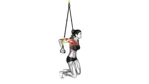 Read more about the article Suspended Self Assisted Chest Dip