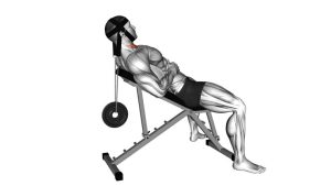 Read more about the article Weighted Lying Neck Flexion (Head Harness)