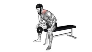 Read more about the article Weighted Seated Neck Extension (with Head Harness)