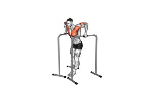 Read more about the article Wide Grip Chest Dip on High Parallel Bars
