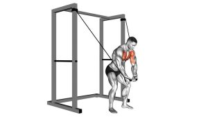 Read more about the article Band High Fly (Low-to-High Band Chest Fly)