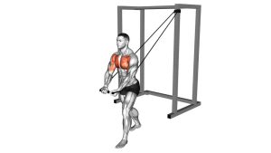 Read more about the article Band Low Chest Fly