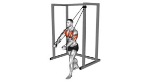Read more about the article Band Low Chest Press