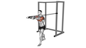 Read more about the article Band Standing Chest Press