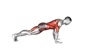 Read more about the article Bird-Dog Push-Up