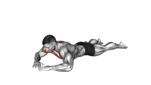 Read more about the article Diamond Press (Sphinx Push-Up)