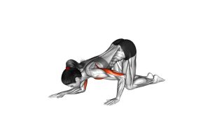 Read more about the article Kneeling Staggered Push-Up
