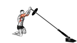 Read more about the article Landmine Kneeling Squeeze Press