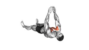 Read more about the article Lying Floor Fly