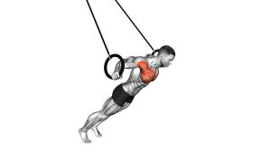 Read more about the article Ring Chest Fly