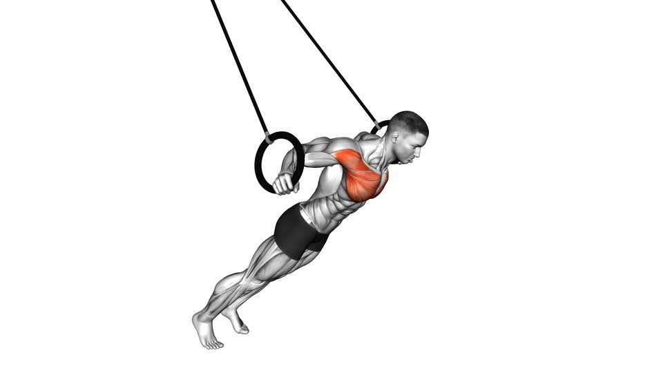 Fly Reps Ring Chest Fly - ManiacMuscle