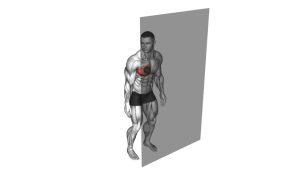 Read more about the article Roll Ball Pectoralis Major
