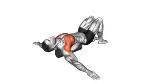 Read more about the article Roll Chest Opener (Lying on Floor)