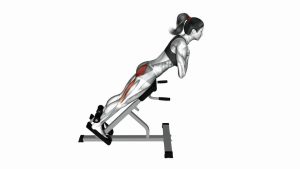 Read more about the article 45-Degree Hyperextension (Arms in Front of Chest)