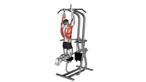 Read more about the article Assisted Parallel Close-Grip Pull-Up