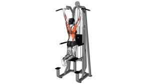 Read more about the article Assisted Pull-Up