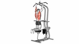 Read more about the article Assisted Pull-Up