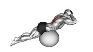 Read more about the article Back Extension on Exercise Ball