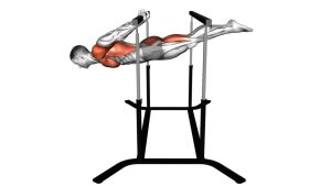 Read more about the article Back Lever (Parallel Bars)