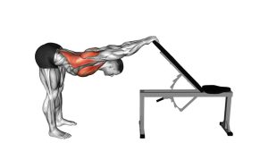 Read more about the article Bench-Supported Back & Pec Stretch