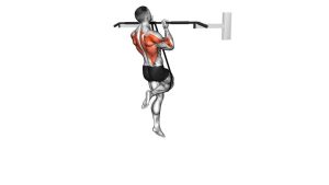 Read more about the article Band-Assisted Chin-Up (From Knee)