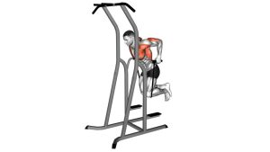 Read more about the article Band-Assisted Dip