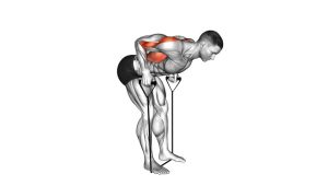 Read more about the article Band Bent-Over Row