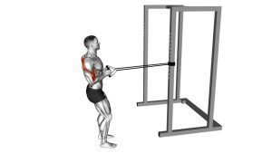 Read more about the article Band Close-Grip Row