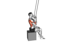Read more about the article Band Fixed-Back Underhand Pulldown
