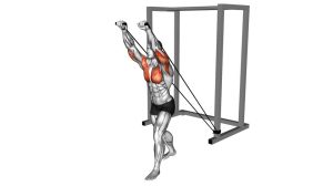 Read more about the article Band Incline Chest Press