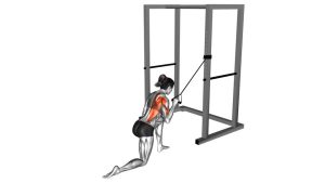Read more about the article Band Kneeling One-Arm Pulldown