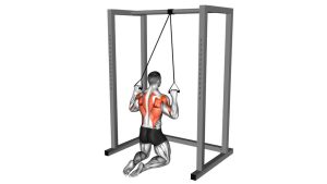 Read more about the article Band Kneeling Lat Pulldown
