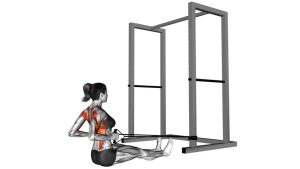 Read more about the article Band Seated Row